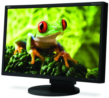 NEC MultiSync EA191M
